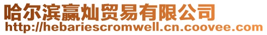 哈爾濱贏燦貿易有限公司