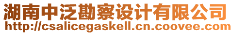 湖南中泛勘察設(shè)計(jì)有限公司