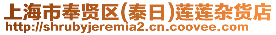 上海市奉賢區(qū)(泰日)蓮蓮雜貨店