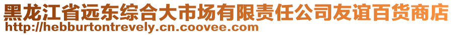 黑龍江省遠(yuǎn)東綜合大市場有限責(zé)任公司友誼百貨商店