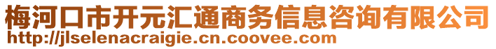 梅河口市開元匯通商務信息咨詢有限公司