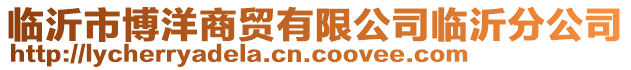 臨沂市博洋商貿(mào)有限公司臨沂分公司