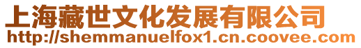 上海藏世文化發展有限公司