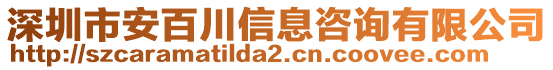 深圳市安百川信息咨詢有限公司