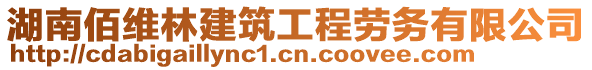 湖南佰维林建筑工程劳务有限公司