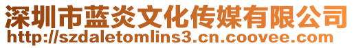 深圳市藍(lán)炎文化傳媒有限公司