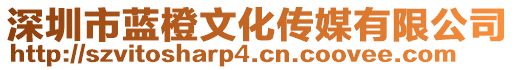 深圳市藍(lán)橙文化傳媒有限公司