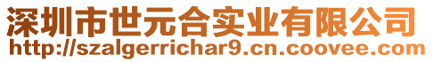 深圳市世元合實(shí)業(yè)有限公司