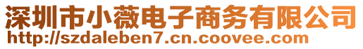 深圳市小薇電子商務(wù)有限公司