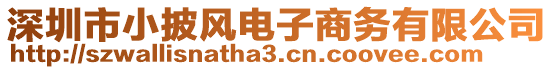 深圳市小披風(fēng)電子商務(wù)有限公司