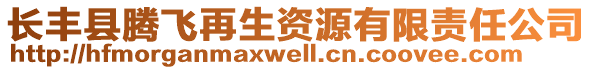 長豐縣騰飛再生資源有限責(zé)任公司