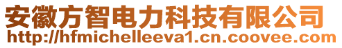 安徽方智電力科技有限公司