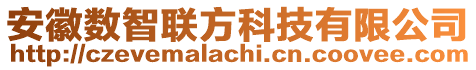 安徽數(shù)智聯(lián)方科技有限公司