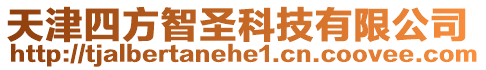 天津四方智圣科技有限公司