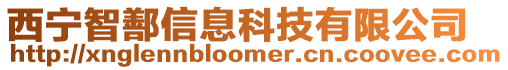 西寧智鄯信息科技有限公司