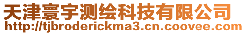 天津寰宇測繪科技有限公司
