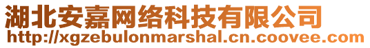 湖北安嘉網絡科技有限公司