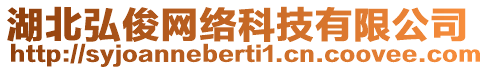 湖北弘俊網(wǎng)絡(luò)科技有限公司