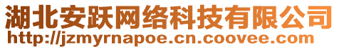 湖北安躍網(wǎng)絡(luò)科技有限公司