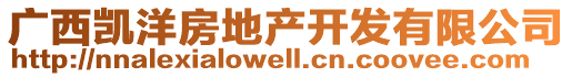 廣西凱洋房地產(chǎn)開(kāi)發(fā)有限公司