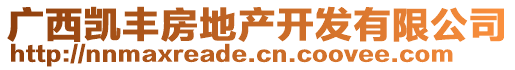 廣西凱豐房地產(chǎn)開發(fā)有限公司