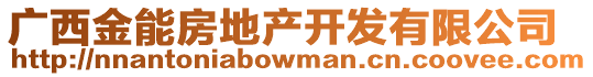廣西金能房地產開發有限公司