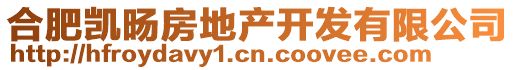 合肥凱旸房地產(chǎn)開(kāi)發(fā)有限公司