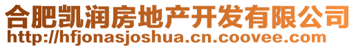 合肥凱潤房地產開發有限公司