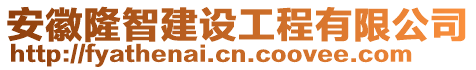 安徽隆智建設(shè)工程有限公司