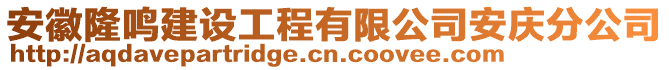 安徽隆鳴建設(shè)工程有限公司安慶分公司