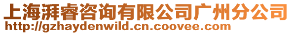 上海湃睿咨詢有限公司廣州分公司