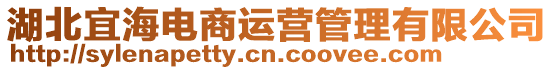 湖北宜海電商運營管理有限公司
