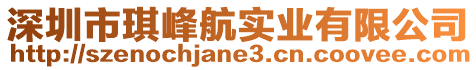 深圳市琪峰航實業有限公司