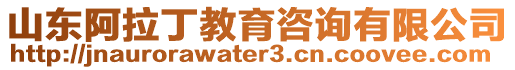 山東阿拉丁教育咨詢有限公司