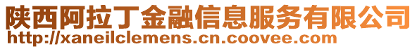 陜西阿拉丁金融信息服務(wù)有限公司