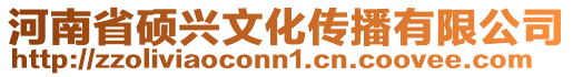 河南省碩興文化傳播有限公司