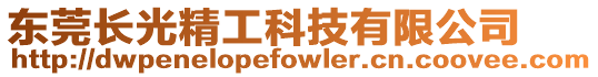 東莞長光精工科技有限公司