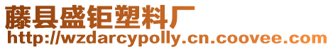 藤縣盛鉅塑料廠