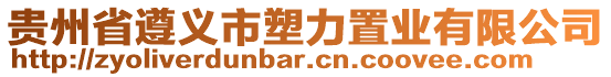 貴州省遵義市塑力置業(yè)有限公司