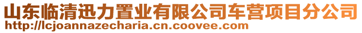 山東臨清迅力置業(yè)有限公司車營(yíng)項(xiàng)目分公司