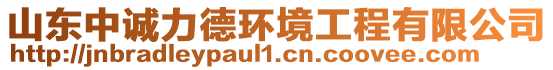 山东中诚力德环境工程有限公司