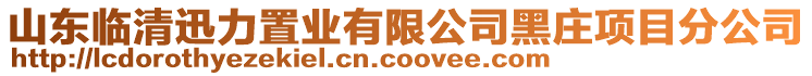 山东临清迅力置业有限公司黑庄项目分公司