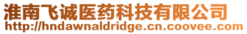 淮南飛誠醫藥科技有限公司
