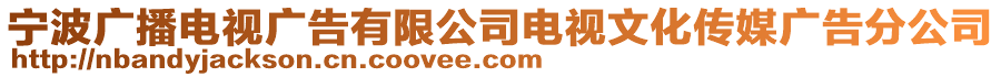 寧波廣播電視廣告有限公司電視文化傳媒廣告分公司