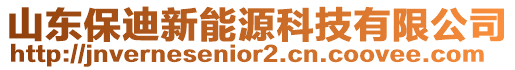 山東保迪新能源科技有限公司