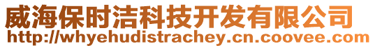 威海保時潔科技開發有限公司