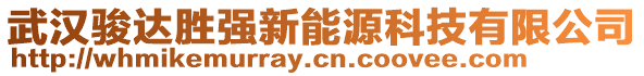 武漢駿達勝強新能源科技有限公司
