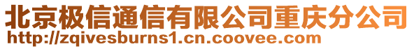 北京極信通信有限公司重慶分公司