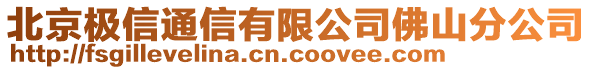北京極信通信有限公司佛山分公司