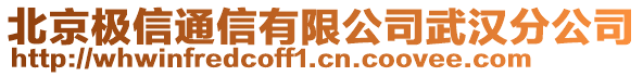 北京極信通信有限公司武漢分公司